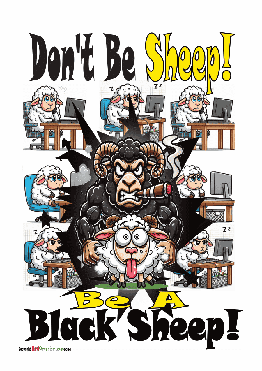 Black sheep funny picture for the home